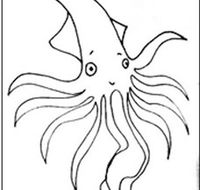 Squid Studio - Lennox Head Accommodation
