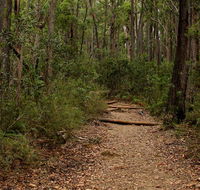 Pigeon House Mountain Didthul walking track - Lennox Head Accommodation