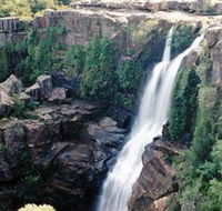 Minnamurra Rainforest Centre Budderoo National Park - Lennox Head Accommodation