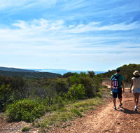 Moonee Beach trail - Lennox Head Accommodation