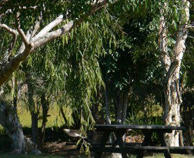Mongogarie NSW Lennox Head Accommodation