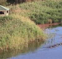 Spring Creek Wetlands Walk - Lennox Head Accommodation