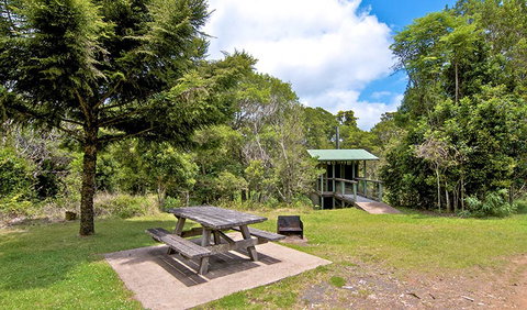 Antarctic Beech Picnic Area - Lennox Head Accommodation 1