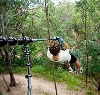 TreeTop Challenge - Lennox Head Accommodation