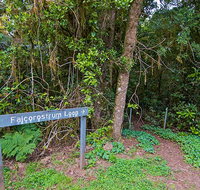 Falcorostrum loop walking track - Lennox Head Accommodation