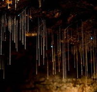 Tamborine Mountain Glow Worm Caves - Lennox Head Accommodation