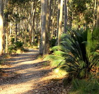 Square Head track 2 - Lennox Head Accommodation