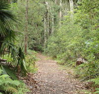 Lake walking track - Lennox Head Accommodation