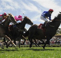 Moruya Racecourse - Lennox Head Accommodation