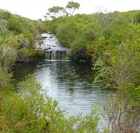 Booderee National Park Green Patch and Telegraph Creek Walking Tracks - Lennox Head Accommodation