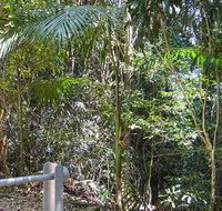 Goorgana walking track - Lennox Head Accommodation