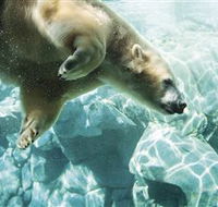 Australia's Sea World - Lennox Head Accommodation