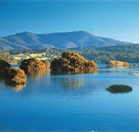 Wagonga Picnic Area - Lennox Head Accommodation