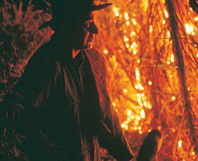 Lennox Head Accommodation