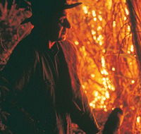 The Shed Gallery - Lennox Head Accommodation