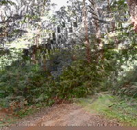 End Peak walking track - Lennox Head Accommodation