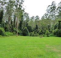 Kerewong State Forest - Lennox Head Accommodation