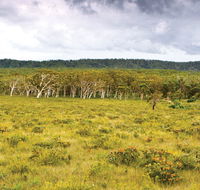 Yuraygir National Park - Lennox Head Accommodation