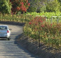 Cassegrain Wines - Lennox Head Accommodation