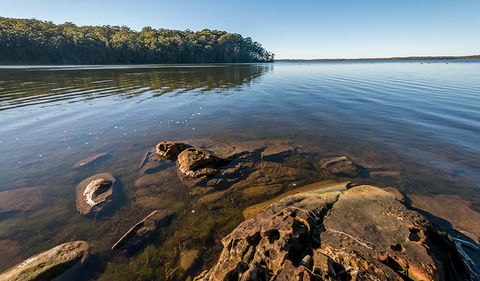 Queens Lake Nature Reserve - Lennox Head Accommodation 0