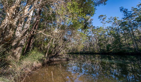 Queens Lake Nature Reserve - Lennox Head Accommodation 3