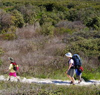 Yuraygir coastal walk - Lennox Head Accommodation