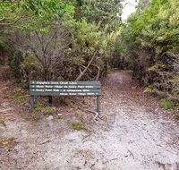 Angophora grove walking track - Lennox Head Accommodation