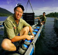 Armstrong Oysters - Lennox Head Accommodation