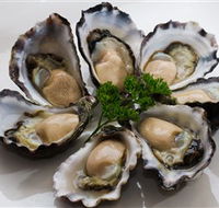 Tathra Oysters - Lennox Head Accommodation