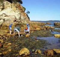 Sapphire Coast Marine Discovery Centre - Lennox Head Accommodation