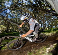 All Terrain Cycles - Lennox Head Accommodation