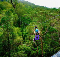Canyon Flyer - Lennox Head Accommodation