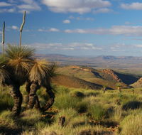 4WD Aussie Outback Adventures - Lennox Head Accommodation