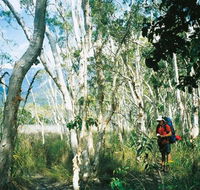 Thorsborne Trail Hinchinbrook Island National Park - Lennox Head Accommodation