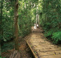 Lake Barrine Circuit Track Crater Lakes National Park - Lennox Head Accommodation