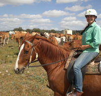 Myella Farm Stay Tours - Lennox Head Accommodation
