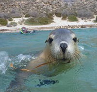 Calypso Star Charters - Lennox Head Accommodation