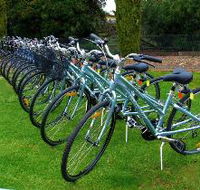Barossa Bike  - Lennox Head Accommodation