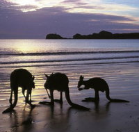 Beachcomber Cove Track - Lennox Head Accommodation