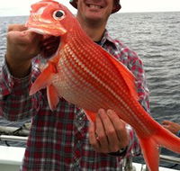 Goin' Off Safaris - Lennox Head Accommodation