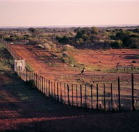 Tri State Safaris - Lennox Head Accommodation