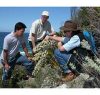 Sapphire Coast Ecotours - Lennox Head Accommodation