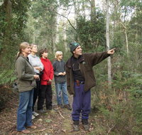 Great Western Tiers Forest Walks Tasmania