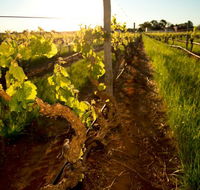 Kaesler Old Vine Vineyard Tour - Lennox Head Accommodation