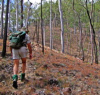 Shepherd's Peak Trail - Lennox Head Accommodation