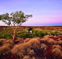 Island Stack Boodjamulla Lawn Hill National Park - Lennox Head Accommodation