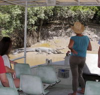 Whitsunday Crocodile Safari - Lennox Head Accommodation