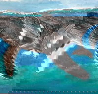 Kaz Art-Whitewash Gallery - Lennox Head Accommodation