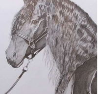 Great Lakes Art Society - Lennox Head Accommodation