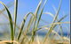 Coastal Visions Photography - thumb 1